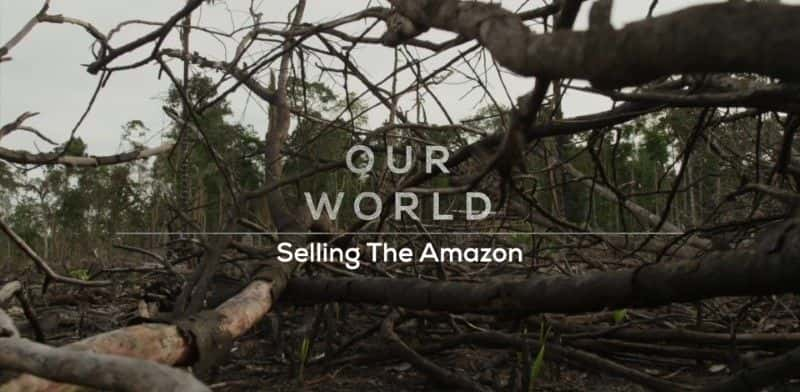 纪录片《卖亚马逊 Selling the Amazon》[无字] [BT][DVD画质]资源下载