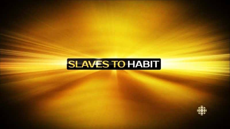 ¼Ƭϰߵū Slaves to HabitĻ/Ļ