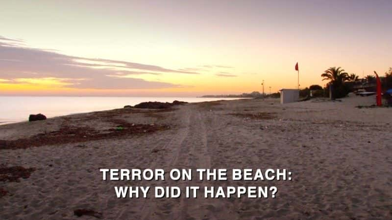 纪录片《海滩上的恐怖：为什么会发生 Terror on the Beach: Why Did It Happen》[无字][BT][720P][1080P]双画质资源下载