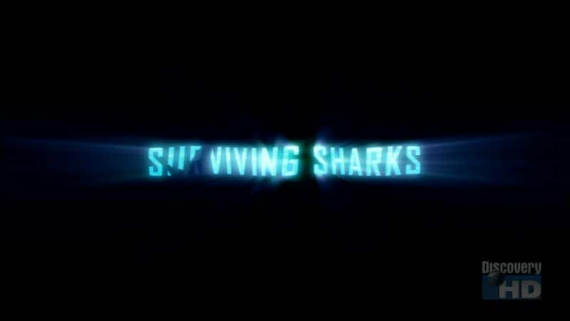 纪录片《幸存的鲨鱼 Surviving Sharks》[无字][BT][720P]资源下载