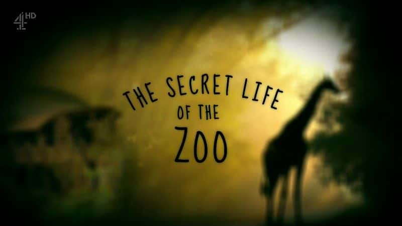 ¼Ƭ԰ The Secret Life of the Zoo1080Pȫ6-Ļ/Ļ