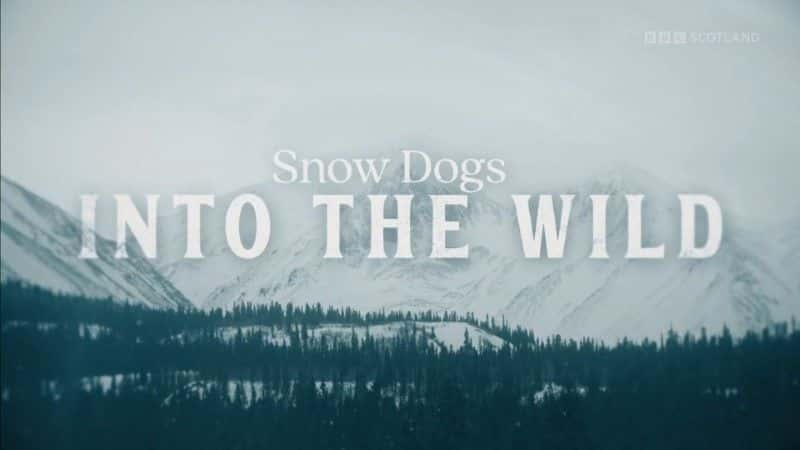 纪录片《雪狗：走进野外 Snow Dogs: Into the Wild》[无字][BT][1080P]资源下载