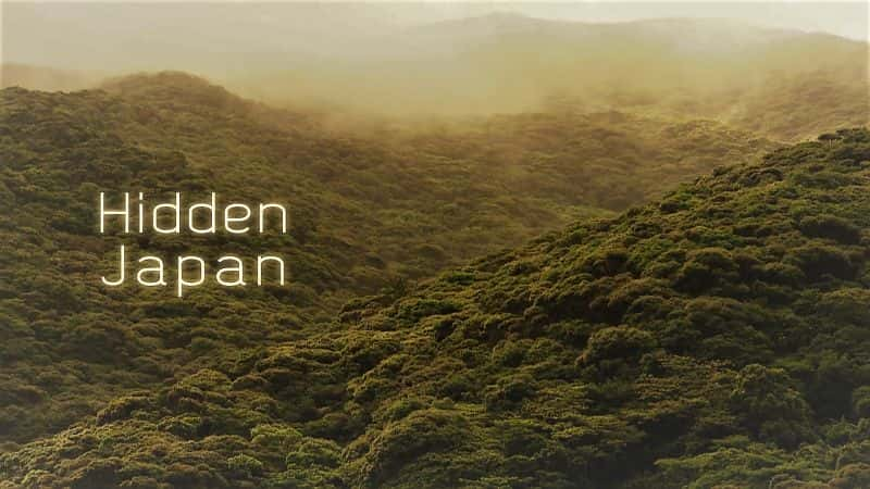 ¼Ƭصձ Hidden Japan1080P-Ļ/Ļ