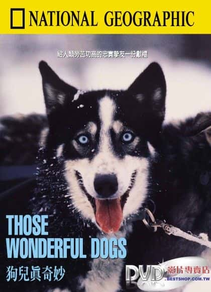 纪录片《那些美妙的狗 Those Wonderful Dogs》[无字][BT][720P]资源下载