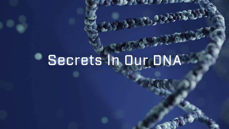 ¼Ƭ DNA е Secrets in our DNA1080Pȫ1-Ļ/Ļ