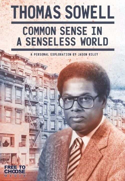 纪录片《托马斯·索维尔：无意义世界中的常识 Thomas Sowell: Common Sense in a Senseless World》[无字][BT][DVD]资源下载