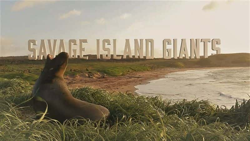 ¼ƬҰ˵˶ Savage Island Giants1080P-Ļ/Ļ