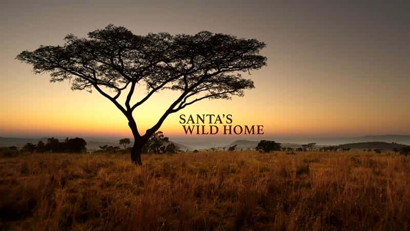 ¼Ƭʥ˵ĿҰ֮ Santa's Wild Home1080Pȫ1-Ļ/Ļ