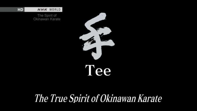 纪录片《T恤：冲绳空手道精神 Tee: The Spirit of Okinawan Karate》[无字][BT][1080P]资源下载