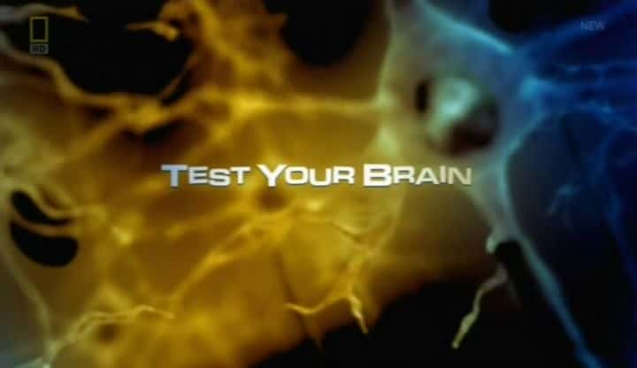 纪录片《测试你的大脑 Test your Brain》[无字][BT][DVD]资源下载