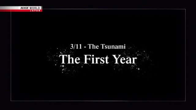 纪录片《海啸：第一年 The Tsunami: The First Year》全1集[历史纪录片][无字幕][1080P][MKV][BT][资源下载]