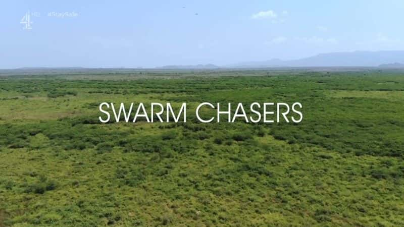 纪录片《群追击者 Swarm Chasers》[无字][BT][720P]资源下载