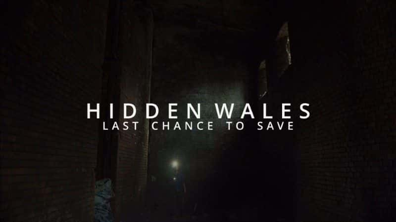 ¼ƬصʿȻ Hidden Wales: Last Chance to Save1080Pȫ1-Ļ/Ļ