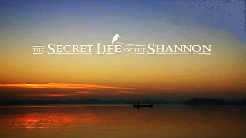 ¼Ƭũ The Secret Life of the ShannonĻ/Ļ