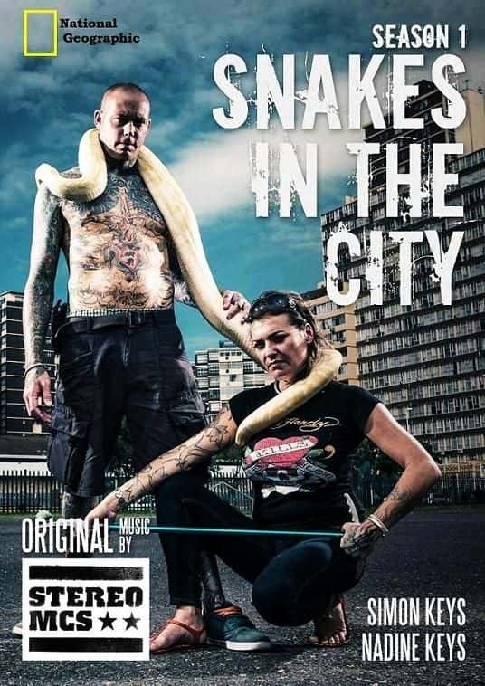 纪录片《蛇城：系列 1 Snakes in the City: Series 1》[无字][BT][720P]资源下载