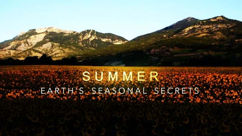 纪录片《夏天：地球的季节秘密 Summer: Earth's Seasonal Secrets》[无字][BT][DVD]资源下载