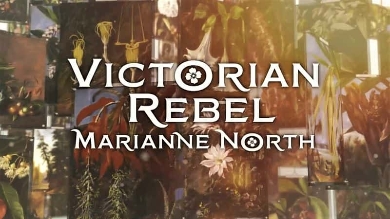 纪录片《维多利亚时代的叛逆者：玛丽安·诺斯 Victorian Rebel: Marianne North》[无字] [BT][DVD画质]资源下载