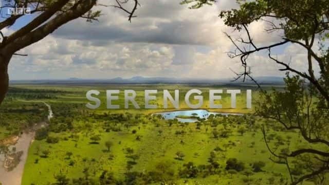 纪录片《塞伦盖蒂 I (BBC) Serengeti I (BBC)》[无字][BT][DVD]资源下载