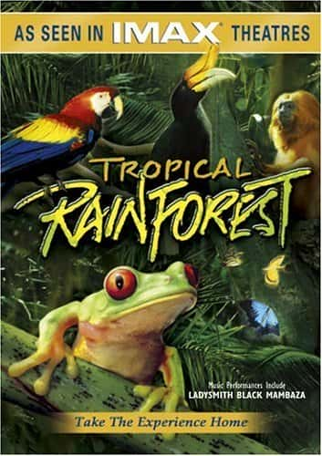 纪录片《热带雨林 Tropical Rainforest》[无字] [BT][DVD画质]资源下载