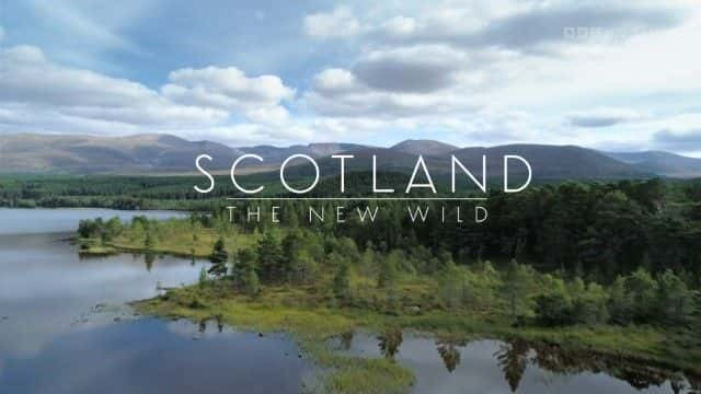 纪录片《苏格兰：新狂野 Scotland: The New Wild》[无字] [BT][DVD画质]资源下载