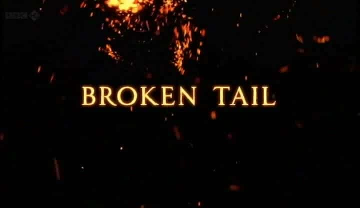 纪录片《一只名叫断尾的老虎 A Tiger Called Broken Tail》[无字][BT][720P]资源下载