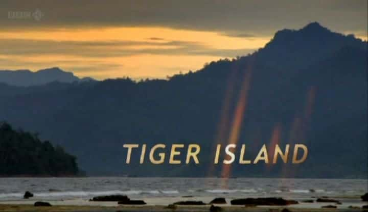 纪录片《老虎岛 Tiger Island》[无字] [BT][DVD画质]资源下载