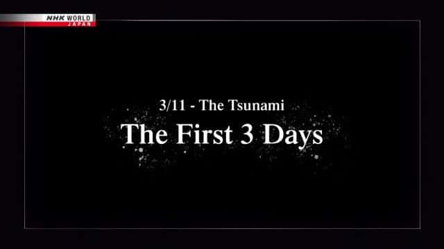 纪录片《海啸：前三天 The Tsunami: The First 3 Days》[无字][BT][1080P]资源下载