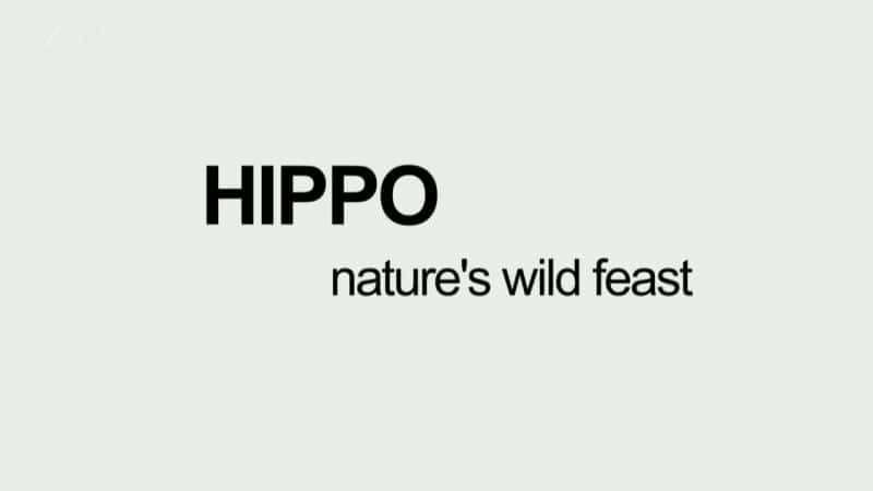 ¼ƬȻĿҰʢ Hippo: Natures Wild FeastĻ/Ļ