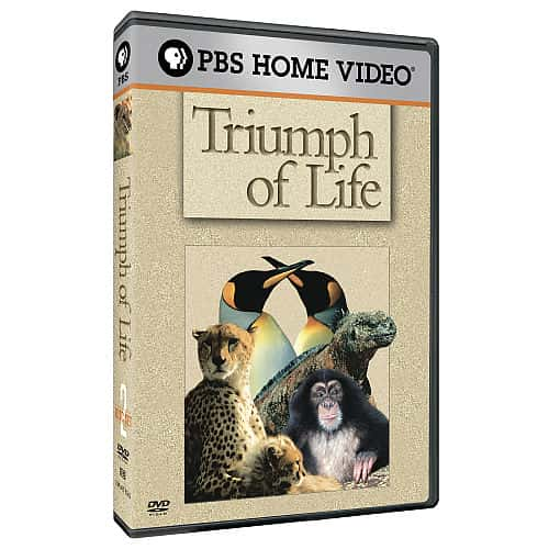 纪录片《生命的胜利 Triumph of Life》[无字] [BT][DVD画质]资源下载