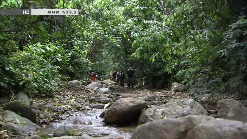 纪录片《越南的韩松洞 Vietnam's Hang Son Doong Cave》[无字][BT][720P]资源下载