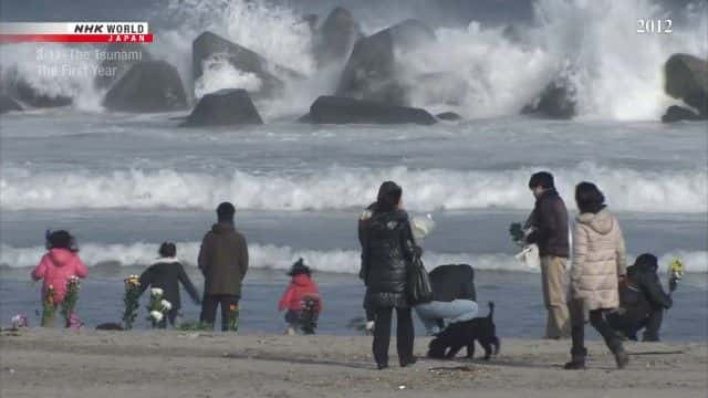 纪录片《海啸：第一年 The Tsunami: The First Year》全1集[历史纪录片][无字幕][1080P][MKV][BT][资源下载]