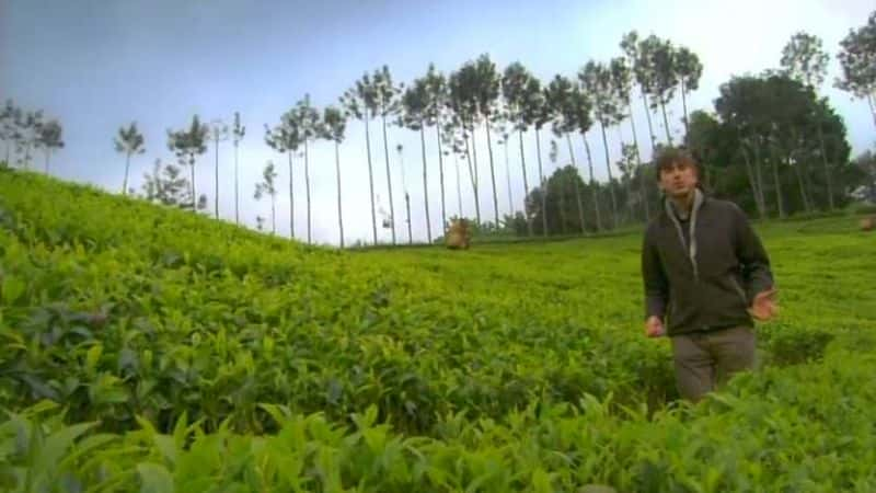 纪录片《茶道 The Tea Trail》[无字][BT][1080P]资源下载