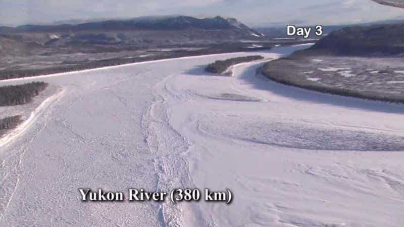 ¼ƬµĹѩ Sled Dog Racing in the Northern LightsĻ/Ļ