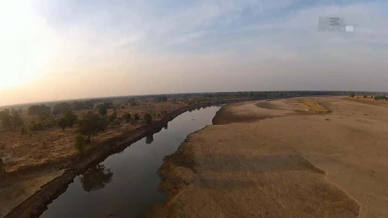 纪录片《虎鱼：非洲的食人鱼 Tigerfish: Africa's Piranha》[无字][BT][720P]资源下载