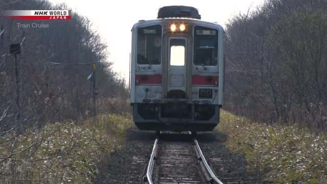 纪录片《北海道东部迎来春天 Spring Arrives in Eastern Hokkaido》[无字][BT][720P]资源下载