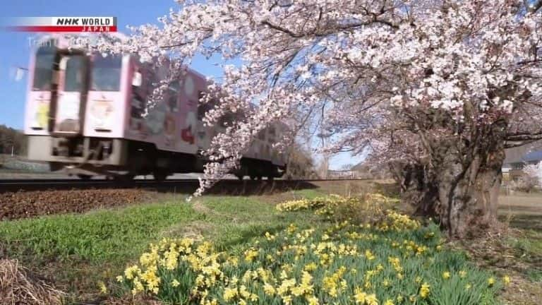 纪录片《春天改变了福岛的武士之国 Spring Transforms Fukushima's Samurai Country》[无字][BT][DVD]资源下载