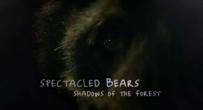 纪录片《眼镜熊：森林之影 Spectacled Bears: Shadows of the Forest》[无字] [BT][DVD画质]资源下载