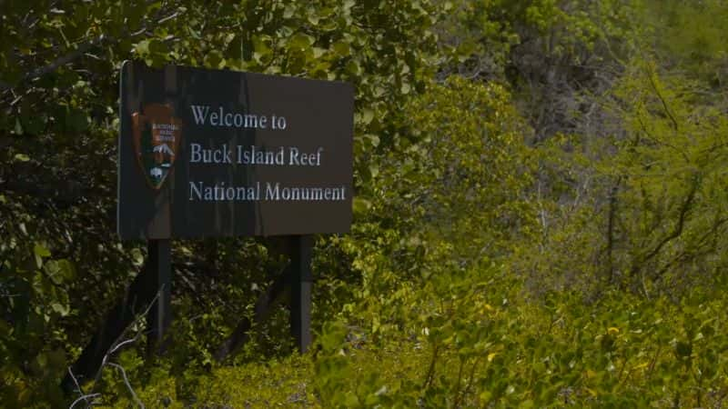 纪录片《国家公园的水下奇观 Underwater Wonders of the National Parks》[无字][BT][1080P][720P]双画质资源下载