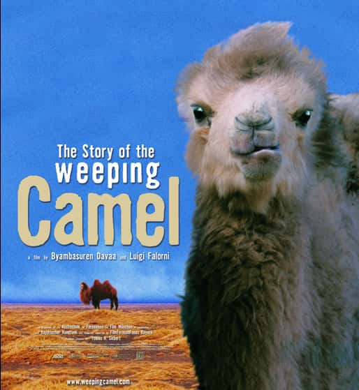 纪录片《哭泣的骆驼的故事 The Story of the Weeping Camel》[无字] [BT][DVD画质]资源下载