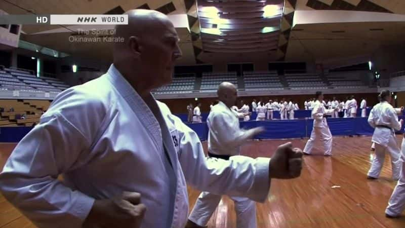 纪录片《T恤：冲绳空手道精神 Tee: The Spirit of Okinawan Karate》[无字][BT][1080P]资源下载