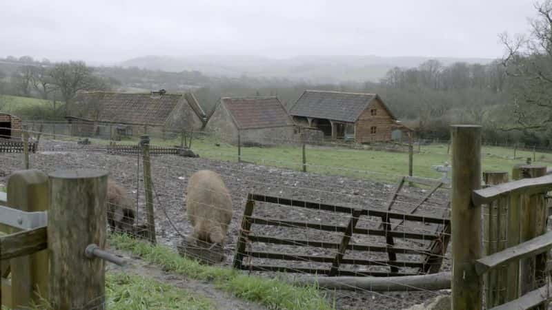 ¼ƬӦó Should I Eat Meat: How to Feed the PlanetĻ/Ļ