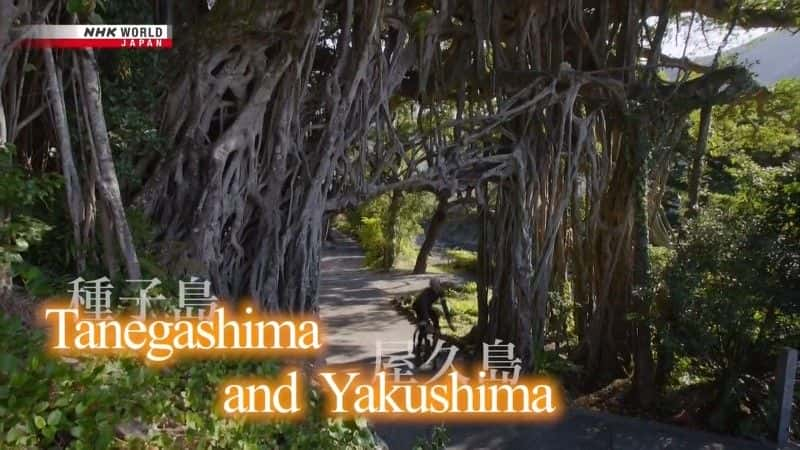 纪录片《种子岛和屋久岛：受自然启发 Tanegashima and Yakushima: Inspired by Nature》[无字][BT][1080P]资源下载