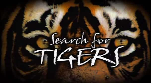 纪录片《寻找老虎 Search for Tigers》[无字][BT][DVD]资源下载