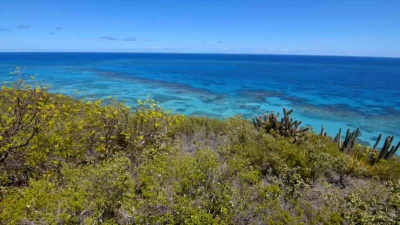 纪录片《国家公园的水下奇观 Underwater Wonders of the National Parks》[无字][BT][1080P][720P]双画质资源下载