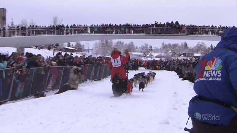 ¼ƬµĹѩ Sled Dog Racing in the Northern LightsĻ/Ļ