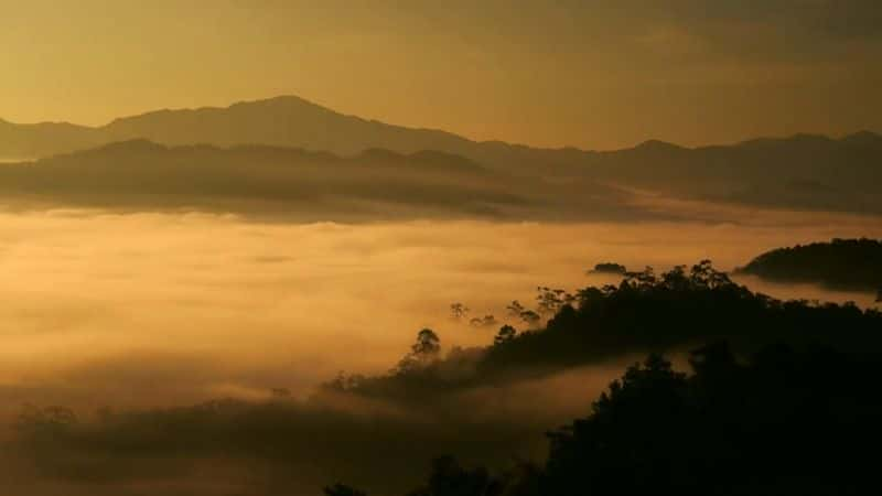 纪录片《泰国：地球上的热带天堂 Thailand: Earth's Tropical Paradise》[无字][BT][720P]资源下载