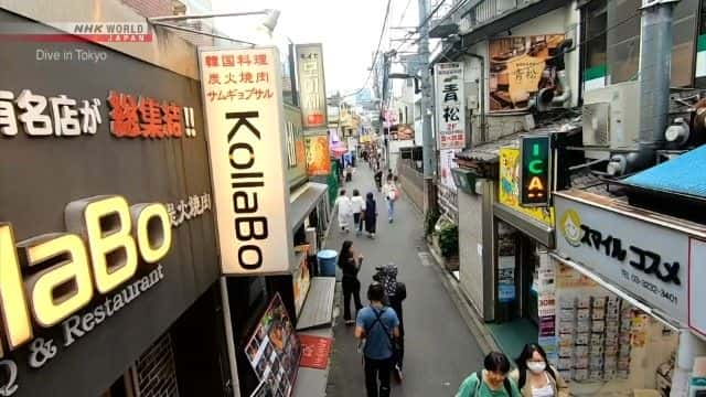 纪录片《新大久保：丰富多彩的文化 Shin-Okubo: A Rich Tapestry of Cultures》[无字][BT][720P]资源下载