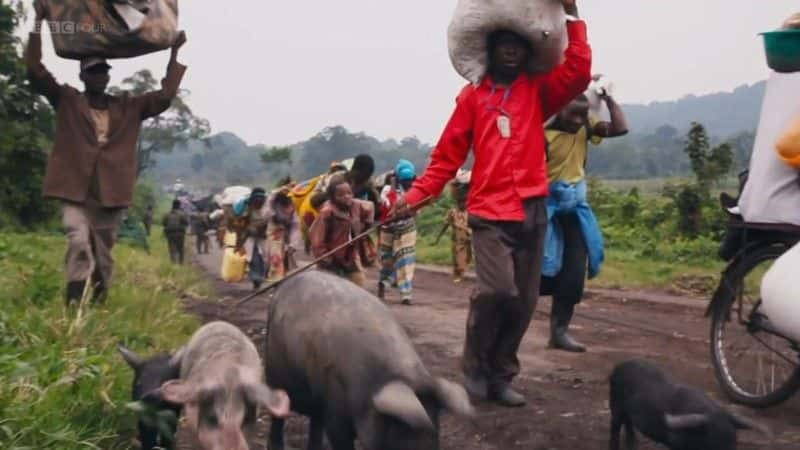 纪录片《这是刚果 This is Congo》[无字] [BT][DVD画质]资源下载