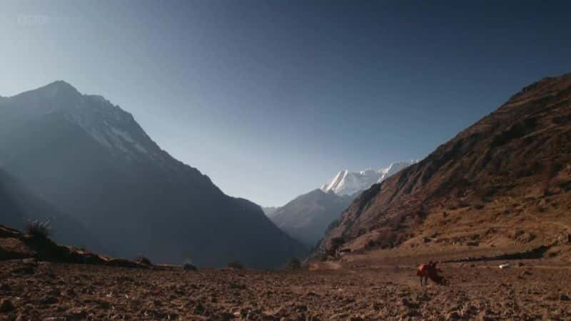 ¼Ƭϲк͵ӻ The Himalayan Boy and the TV SetĻ/Ļ