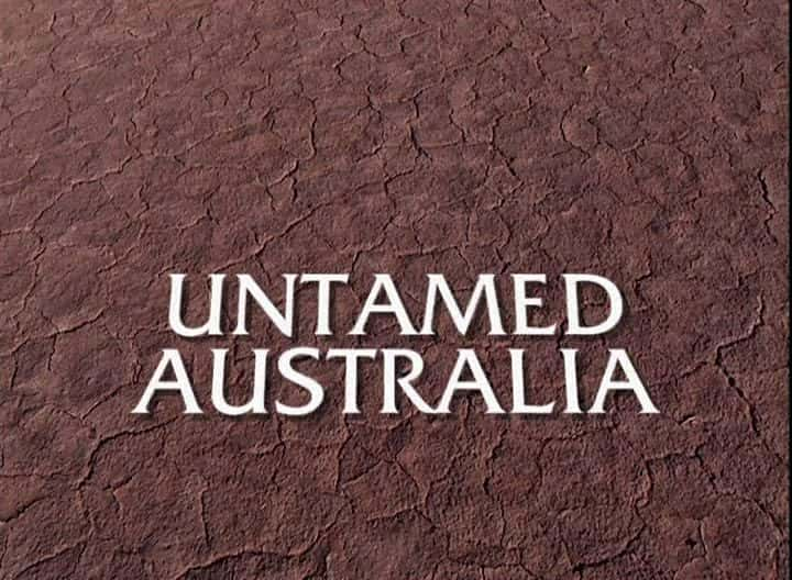 纪录片《野性澳大利亚 第一季 Untamed Australia Season 1》[无字][BT][1080P]资源下载